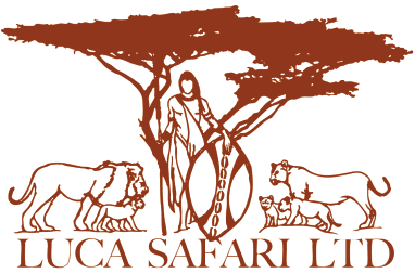 Luca Safari